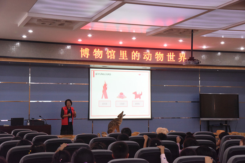 1538206139951511.jpg DSC_0907_副本.jpg