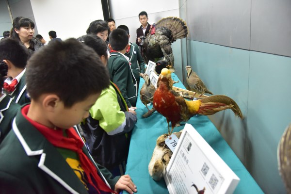 1586147886169874.jpg DSC_0518_副本.jpg