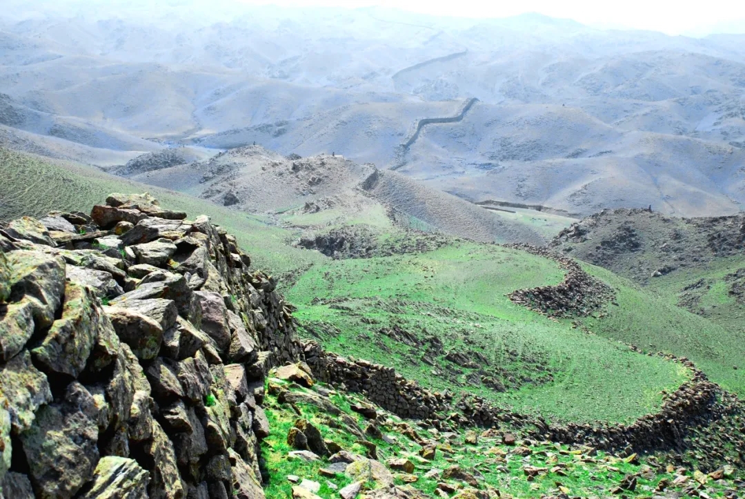 1715743252459574.jpg 640 (1)_副本.jpg